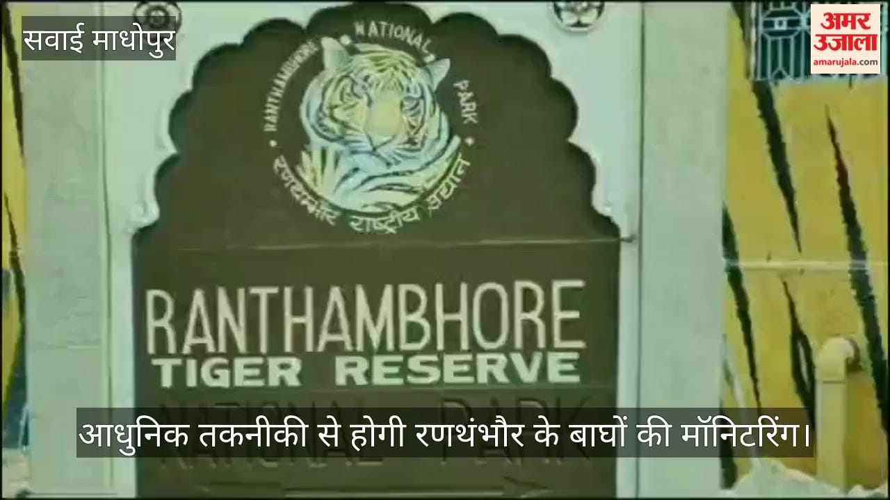Sawai Madhopur News: Ranthambore Plans GSM Cameras, Satellite Collars for Real-Time Tiger Monitoring