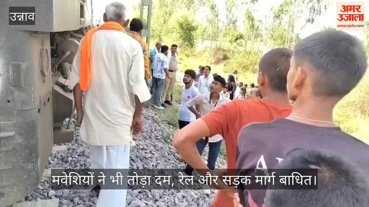 Unnao Storm wreaks havoc late at night elderly man dies in sleep after neem tree falls