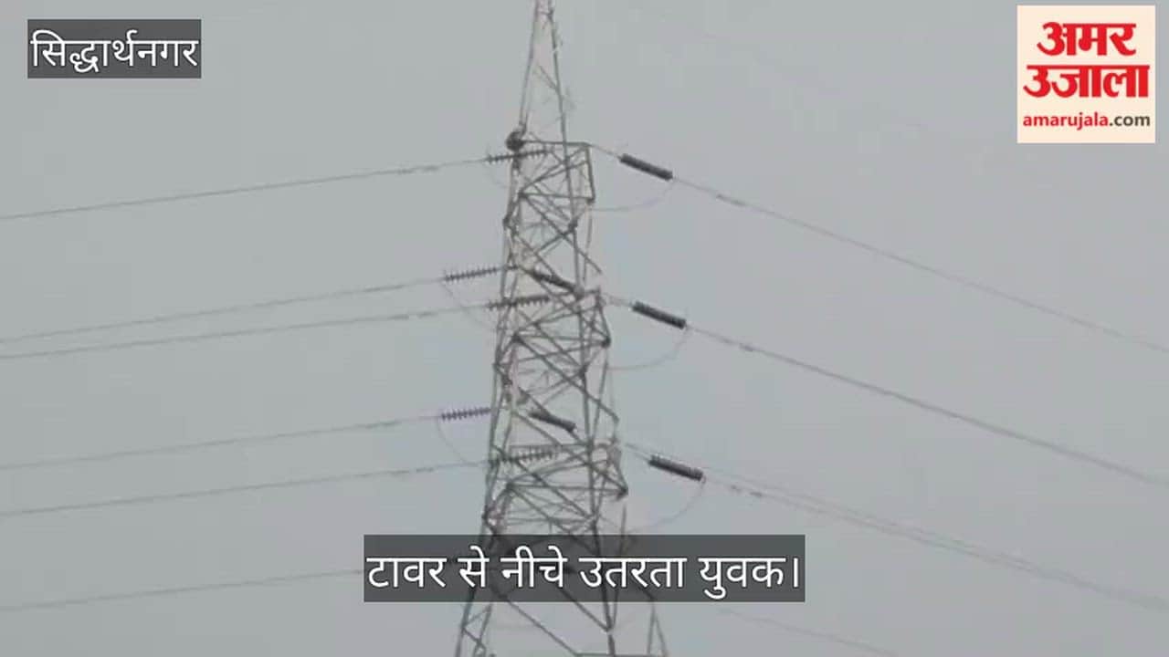 Mentally unstable youth climbs high-tension tower; panic ensues for an hour.