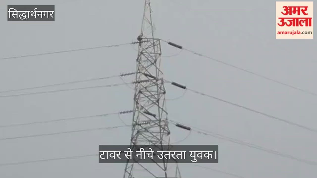 Mentally unstable youth climbs high-tension tower; panic ensues for an hour.