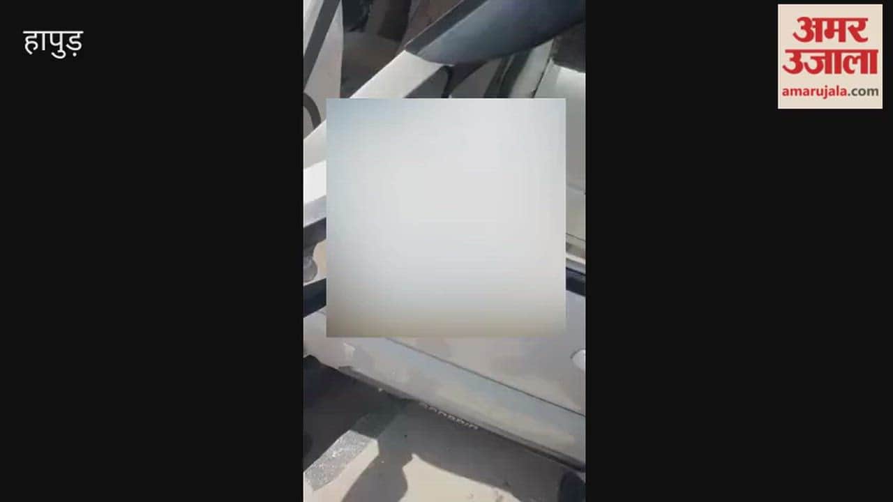 Scorpio crashes into stationary container in Pilkhuwa; driver dies.