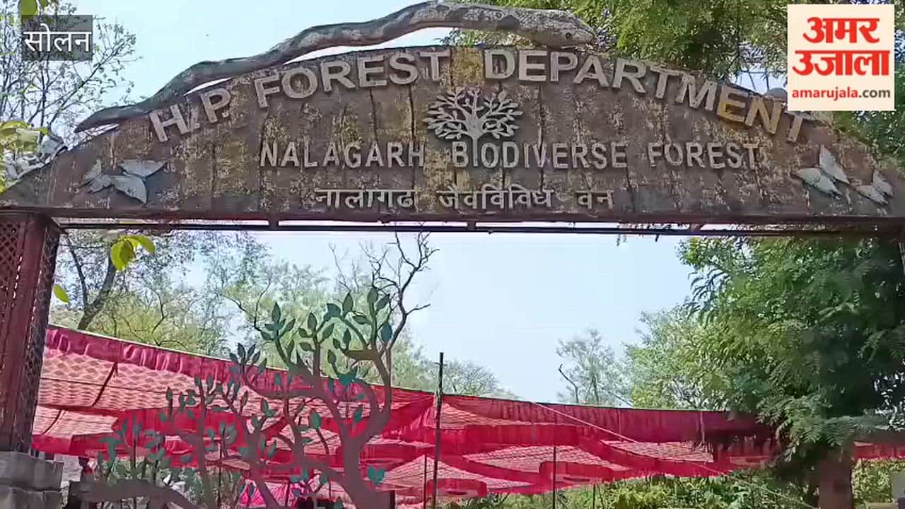 Solan: Forest Department organizes annual community feast