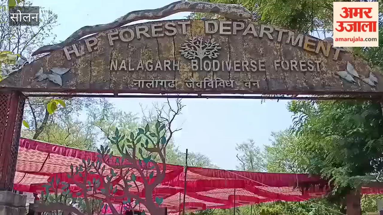 Solan: Forest Department organizes annual community feast