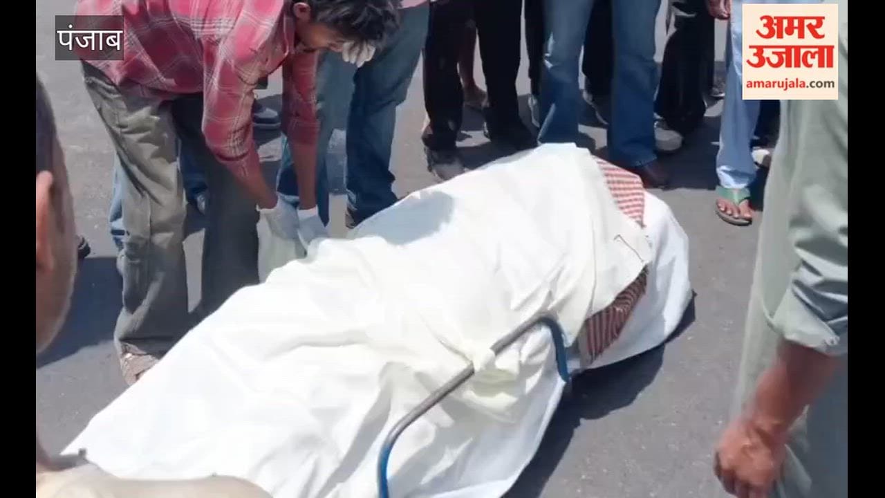 Woman struck by speeding vehicle while crossing road in Moga; dies on the spot.