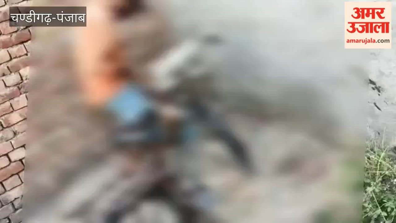 Drug addiction is rampant in Moga