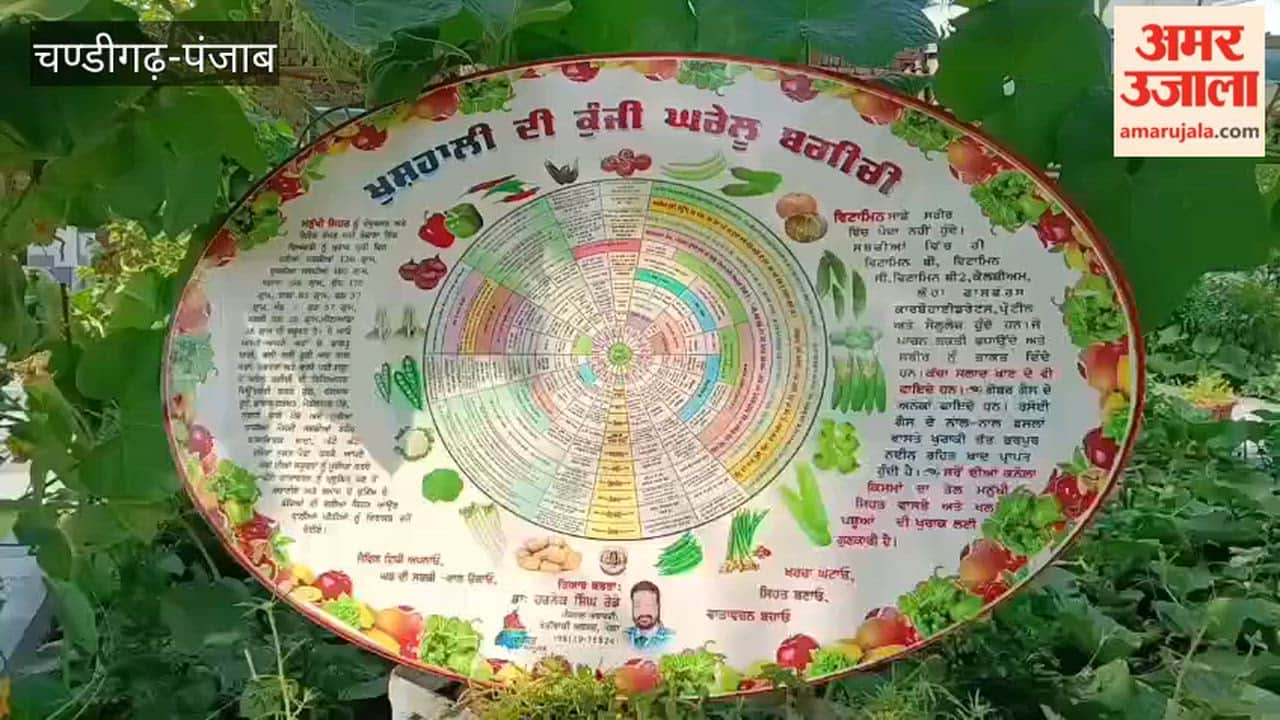 Health from the greenery of the courtyard to the plate