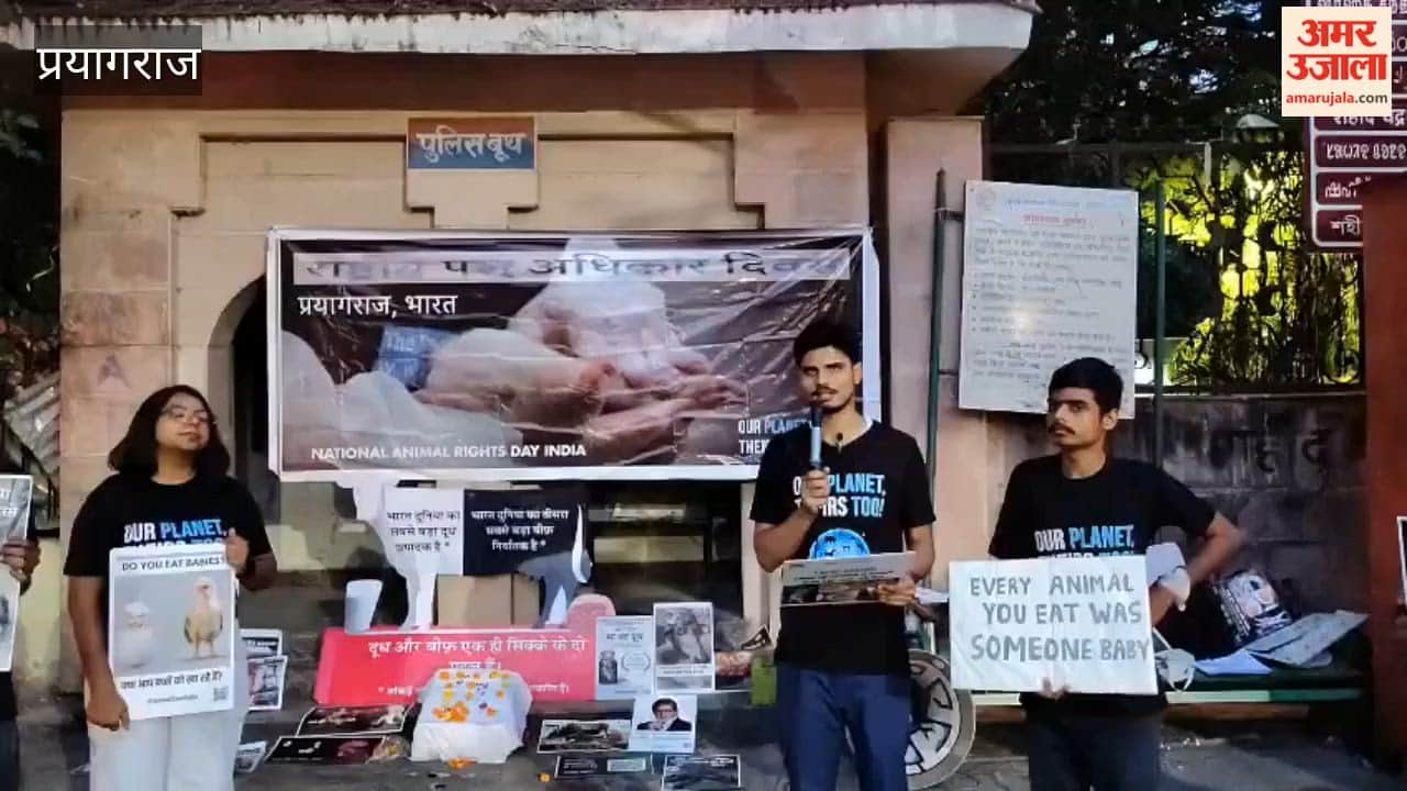 Pledge to stop animal cruelty, organization raises awareness on Animal Rights Day