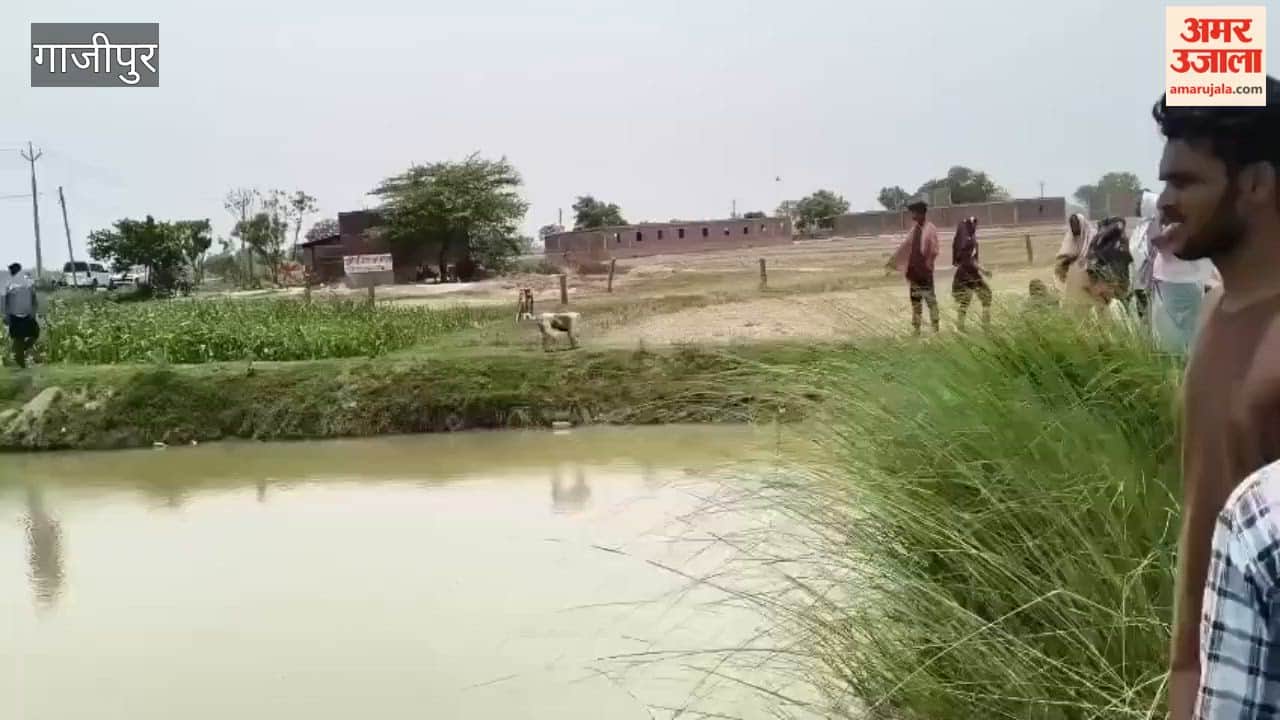 Twin brothers die by drowning in pond ghazipur