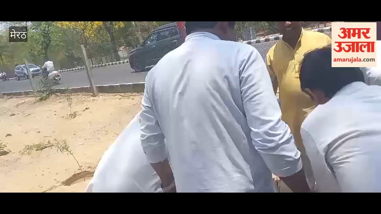 Meerut: BJP workers planted saplings on Mall Road, pledged to protect it