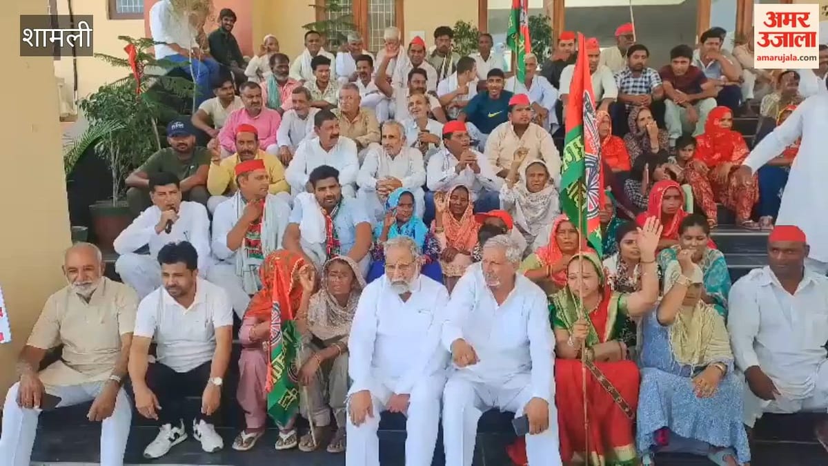 Shamli: अदिति यादव पर कथित अभद्र टिप्पणी के विरोध में सपाइयों का प्रदर्शन, राज्यपाल के नाम सौंपा ज्ञापन