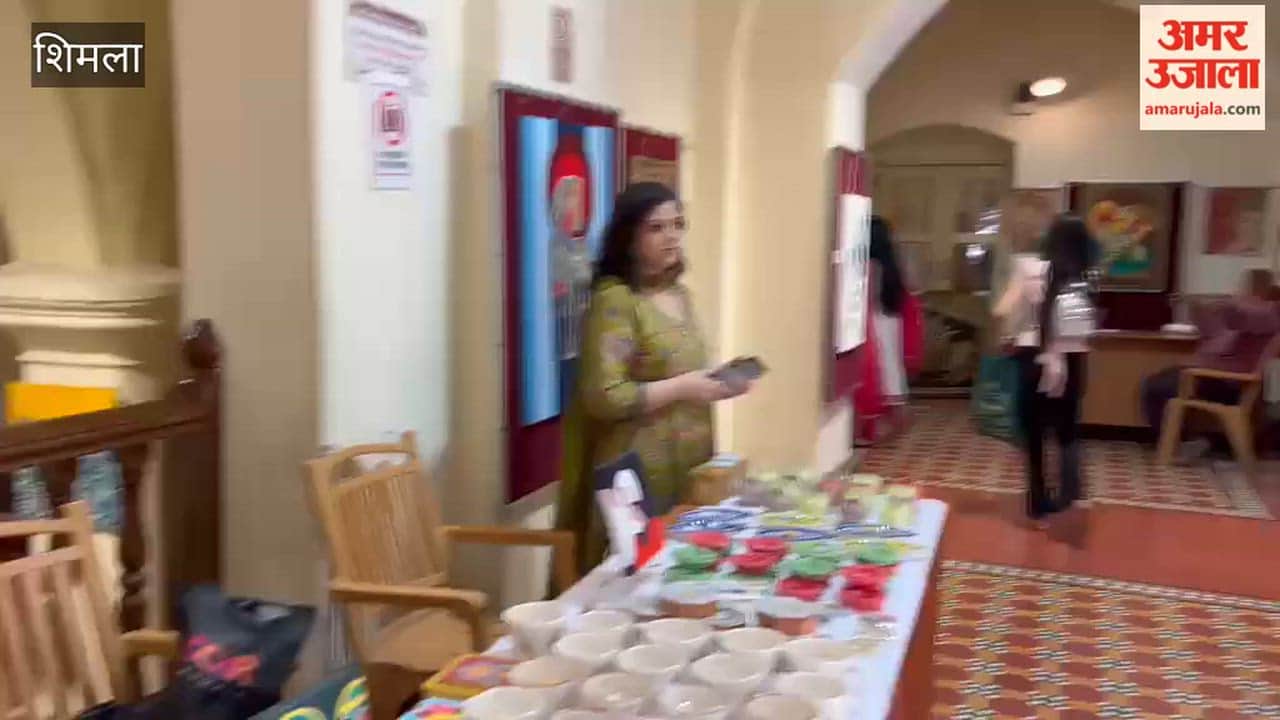 Shimla: Four-day art exhibition by three female artists begins at Gaiety