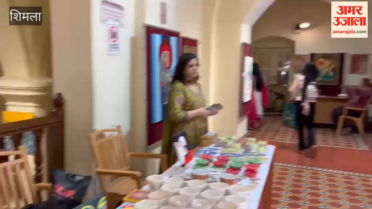 Shimla: Four-day art exhibition by three female artists begins at Gaiety