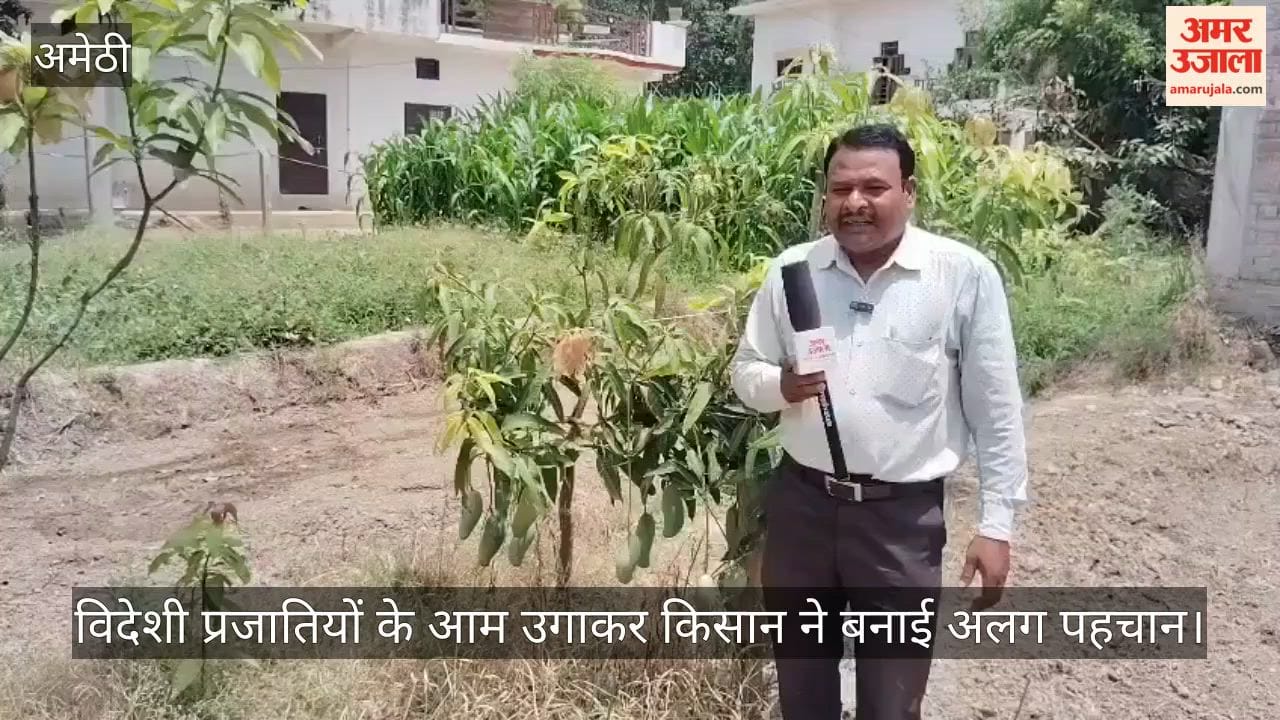 VIDEO: थाईलैंड, जापान और दक्षिण अफ्रीका की किस्मों का तैयार किया बगीचा