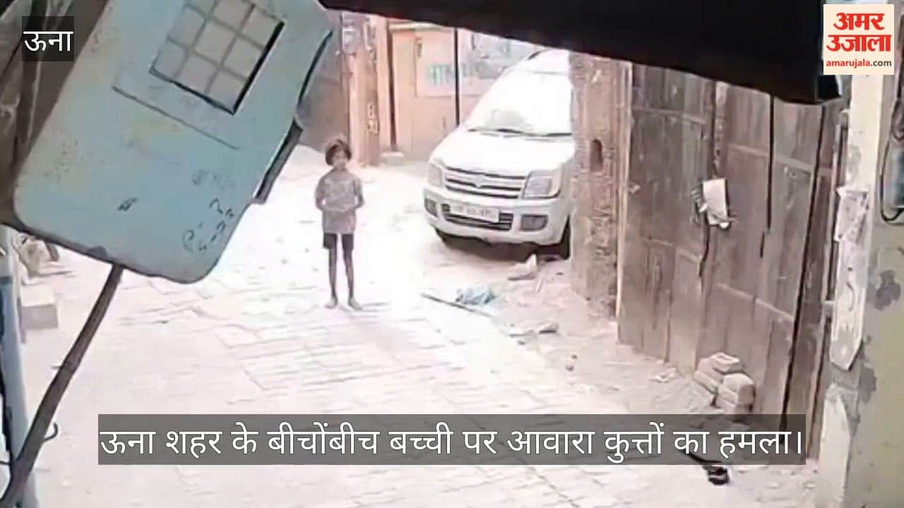 A girl was attacked by stray dogs in the heart of Una city and was bitten at several places.