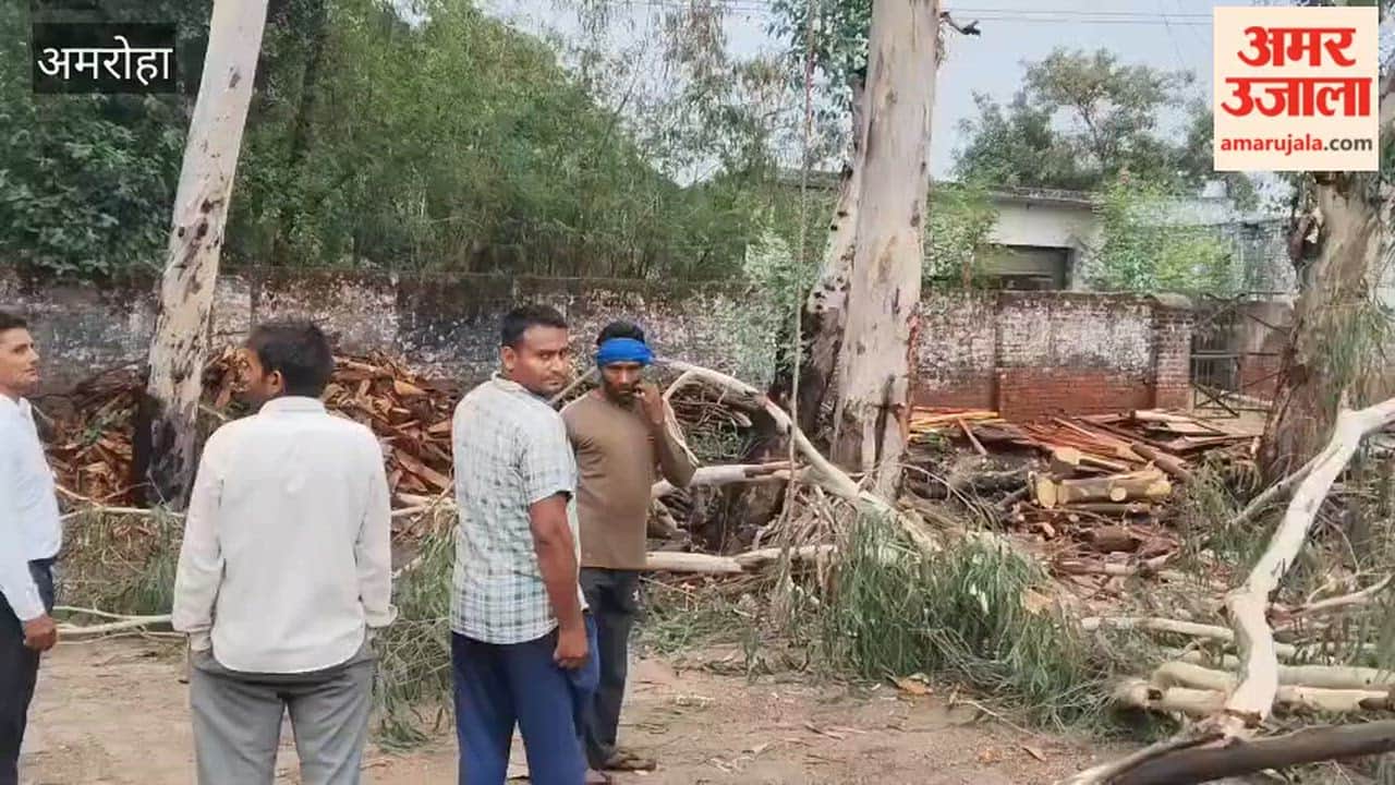 Power supply to five neighborhoods was disrupted for two and a half hours to cut down two trees