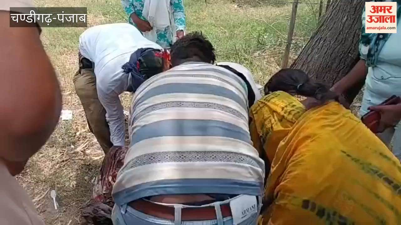Three people Died in road accident