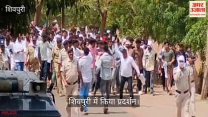 10,000 people protest over Madhav Tiger Reserve; allegation that 100 buffaloes have gone missing in