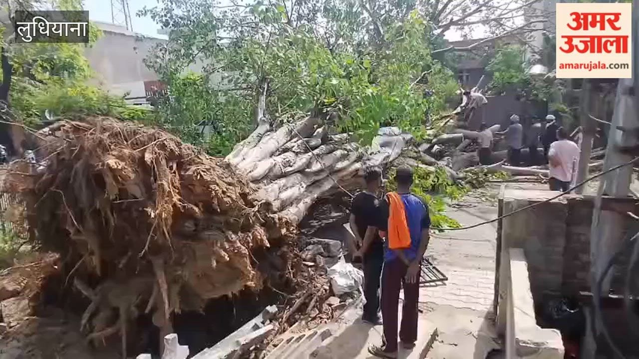 Trees and transformers fell during a storm in Ludhiana at night.