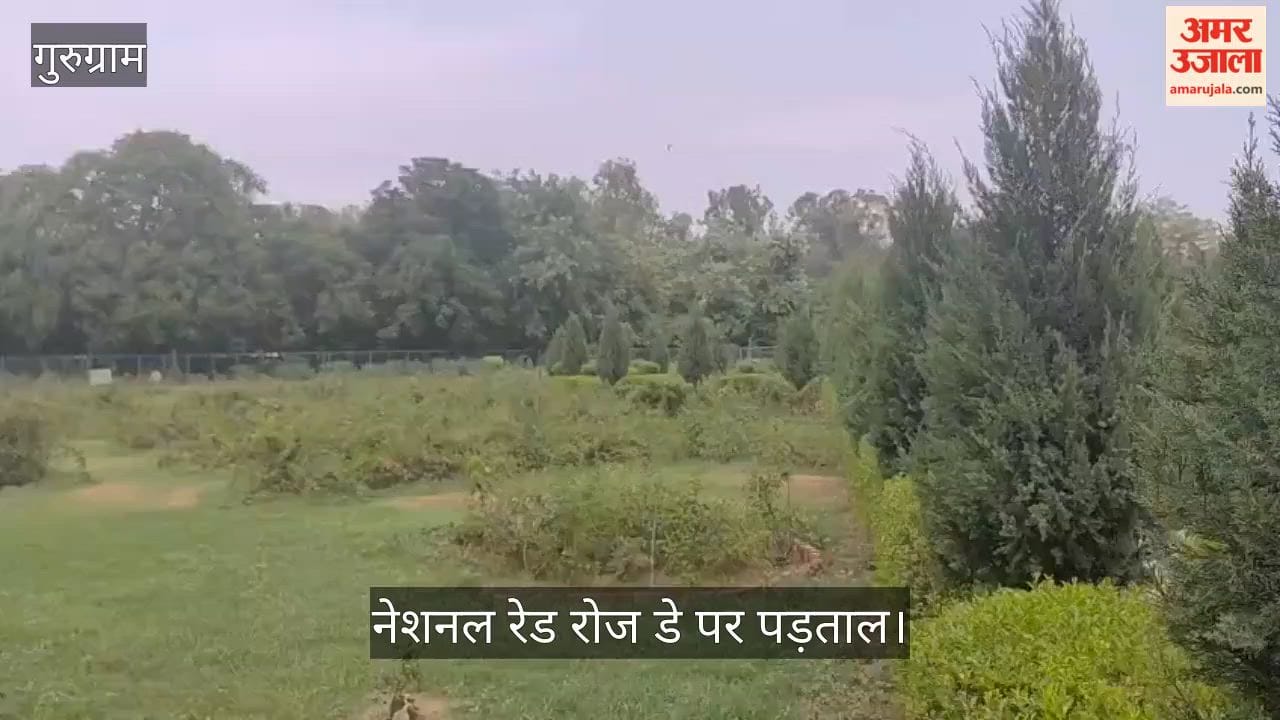 Gurugram fountain built and musical laser show launched yet Rose Garden condition remained unchanged