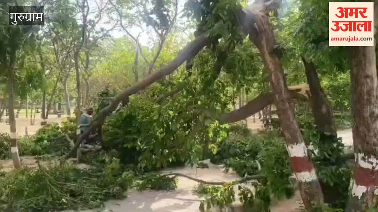 storm in gurugram city