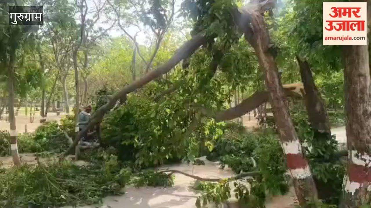storm in gurugram city