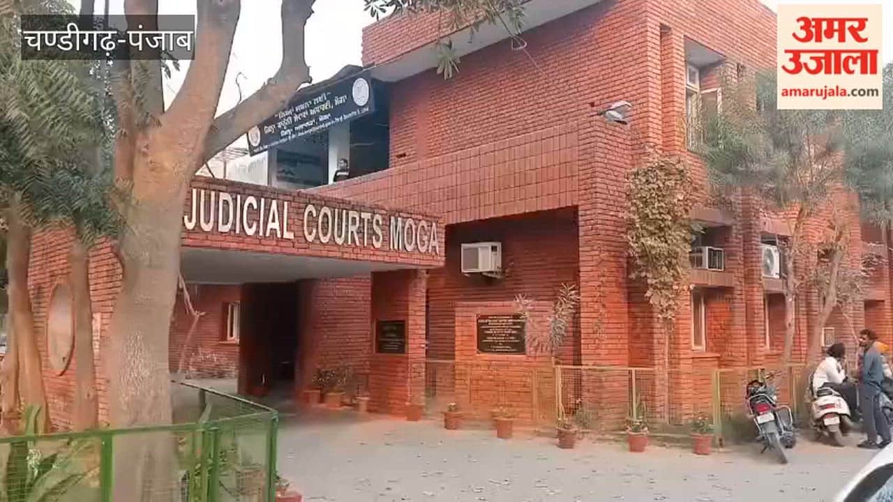 MP Swati Maliwal's lawyer appears in Moga court regarding calling Punjab MLAs sheep and goats