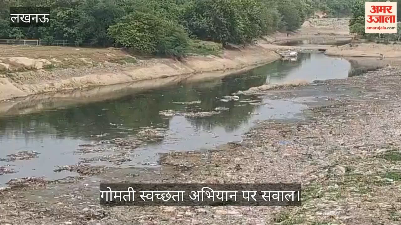 Video: गोमती स्वच्छता अभियान पर सवाल, नालों का गंदा पानी सीधे नदी में मिलने का दावा