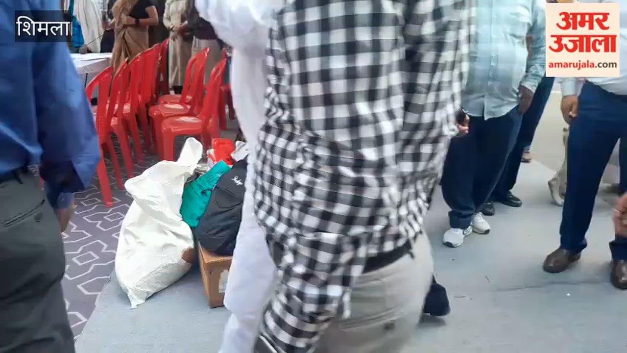 Shimla: People arrived at Mall Road with their pet dogs to participate in the dog show
