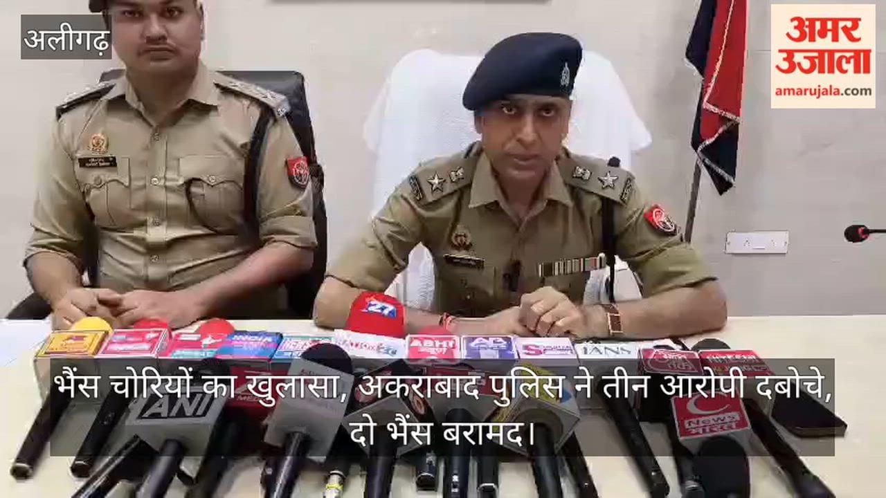 भैंस चोरियों का खुलासा, अकराबाद पुलिस ने तीन आरोपी दबोचे, दो भैंस बरामद