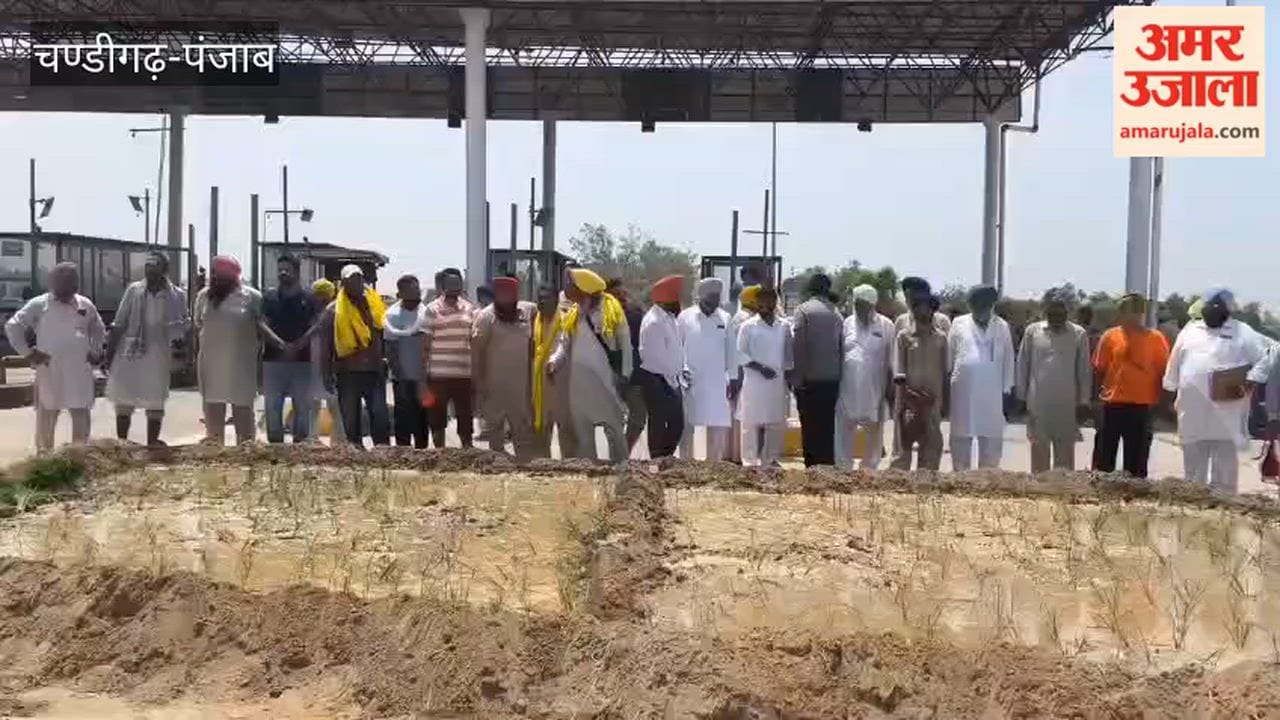 Farmer sows paddy on Ferozeshah toll plaza land.