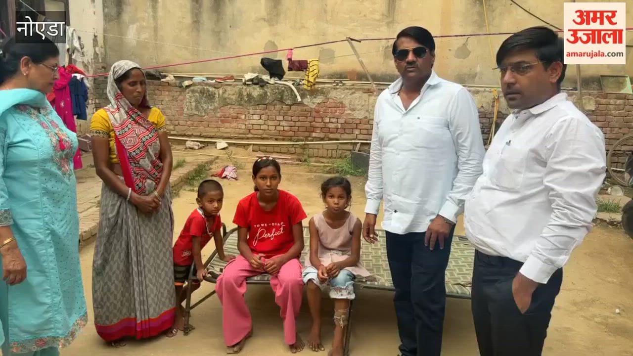 A stray dog attacked a girl in Noida