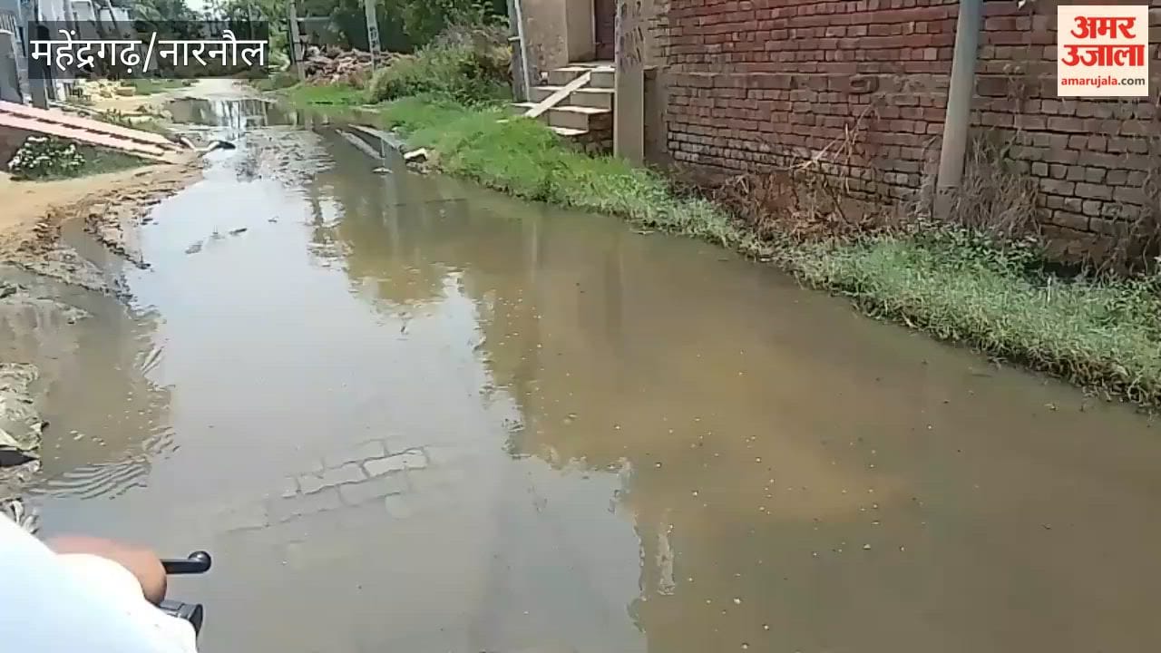 Mera Gaon, Meri Shaan: Villagers in Mahendragarh's Malda village are troubled by issues of contaminated water, waterlogging and faulty streetlights