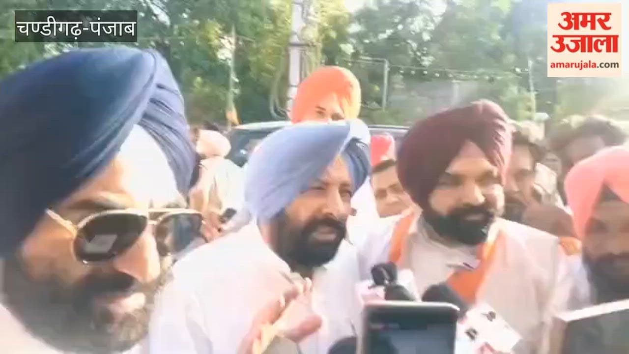 BJP State President Dhillon slams AAP