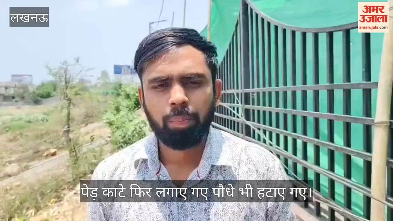 VIDEO : 1090 चौराहे लोहिया पथ के किनारे लगे 35 पेड़ काटे गए, बाद में लगाए गए 450 पौधे भी हटा दिए गए