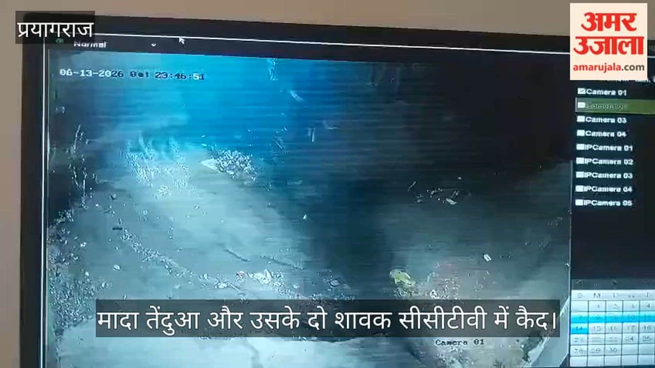 Female leopard and her two cubs caught on CCTV in Jhunsi's Haveliya; panic among locals.