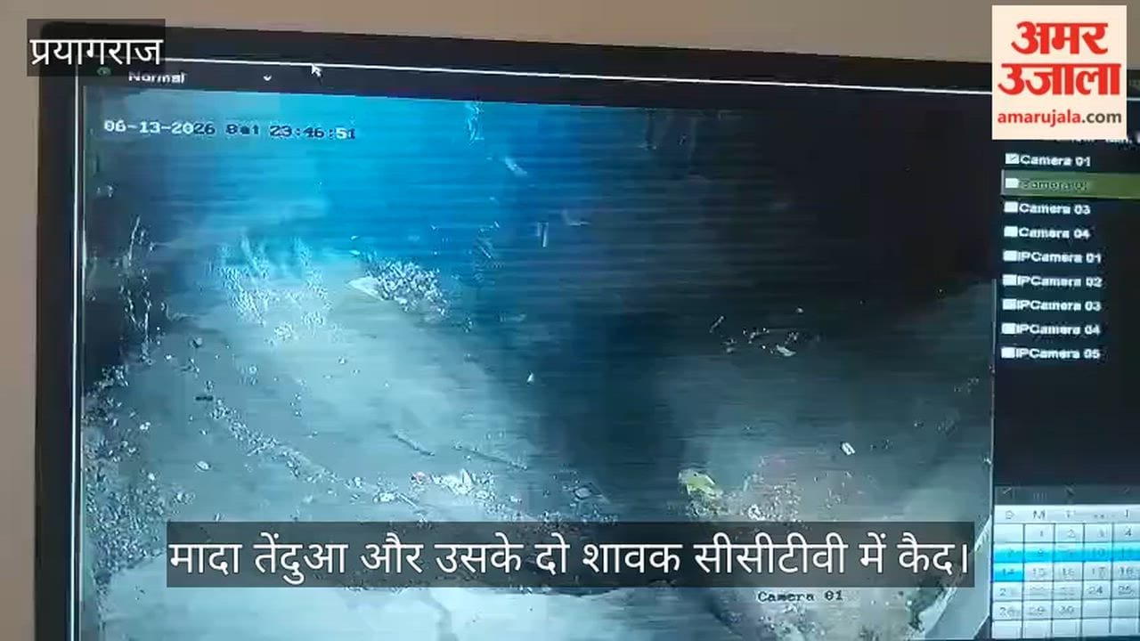 Female leopard and her two cubs caught on CCTV in Jhunsi's Haveliya; panic among locals.