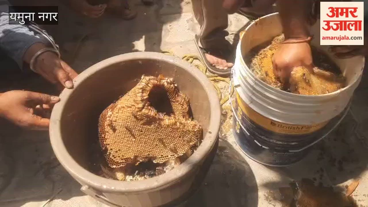 Five people apprehended in Yamunanagar for allegedly selling adulterated honey; police arrived to investigate.