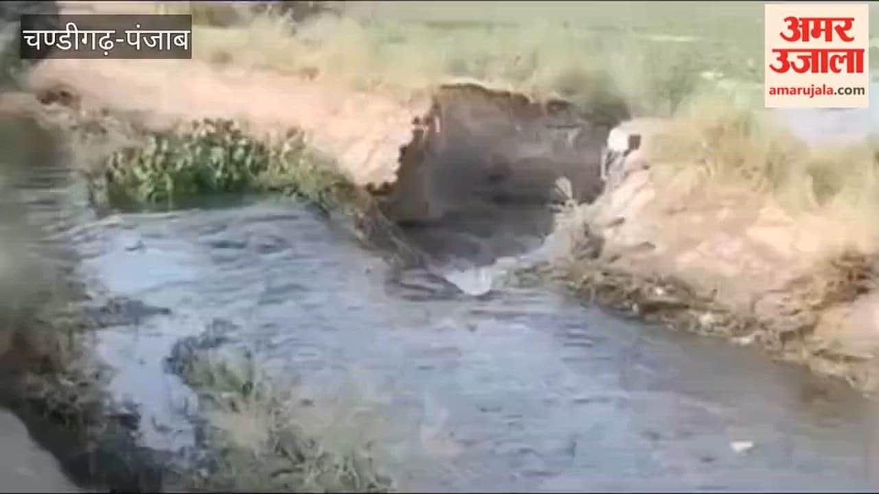 Laxman Canal breached due to water overflow in Mamdot; crops submerged.