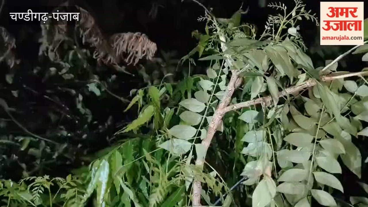 Heavy rain and a storm hit Ferozepur.