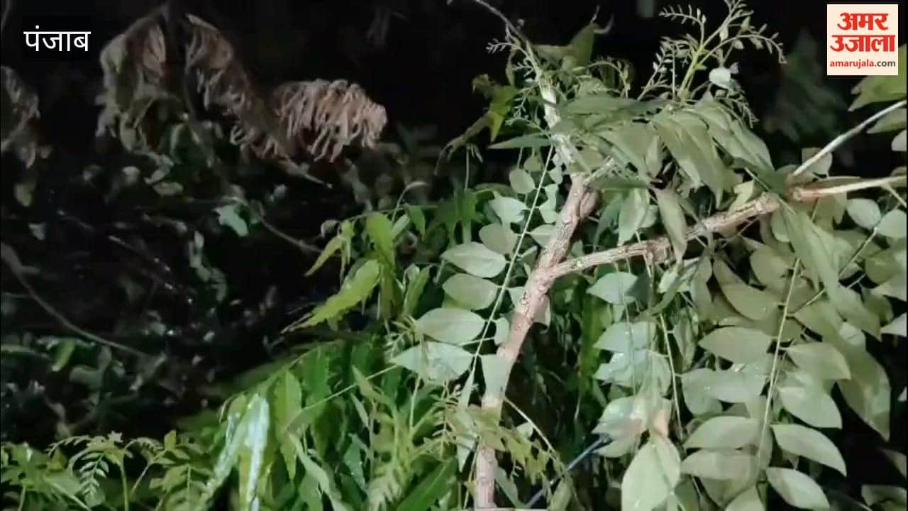 Mercury dropped in Punjab following strong winds and rain late at night.