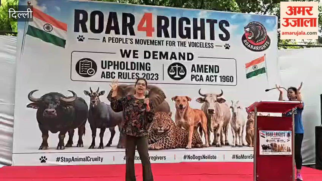 Animal lovers staged a protest regarding animals at Delhi's Jantar Mantar