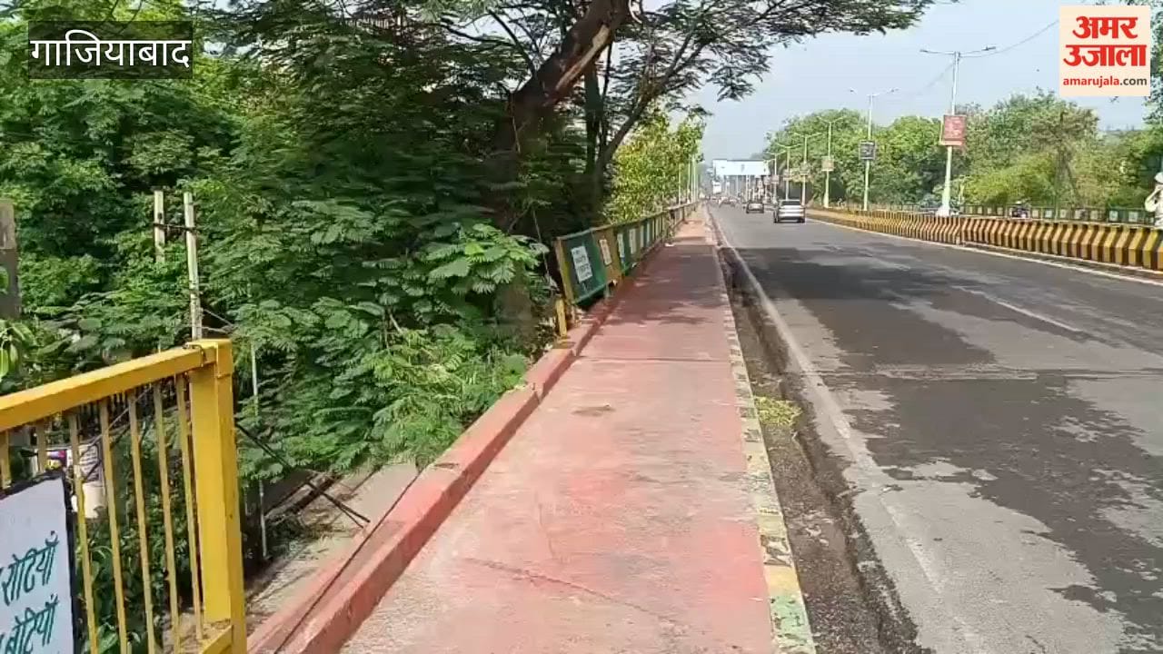 Horse cart fell off flyover after being hit by a vehicle