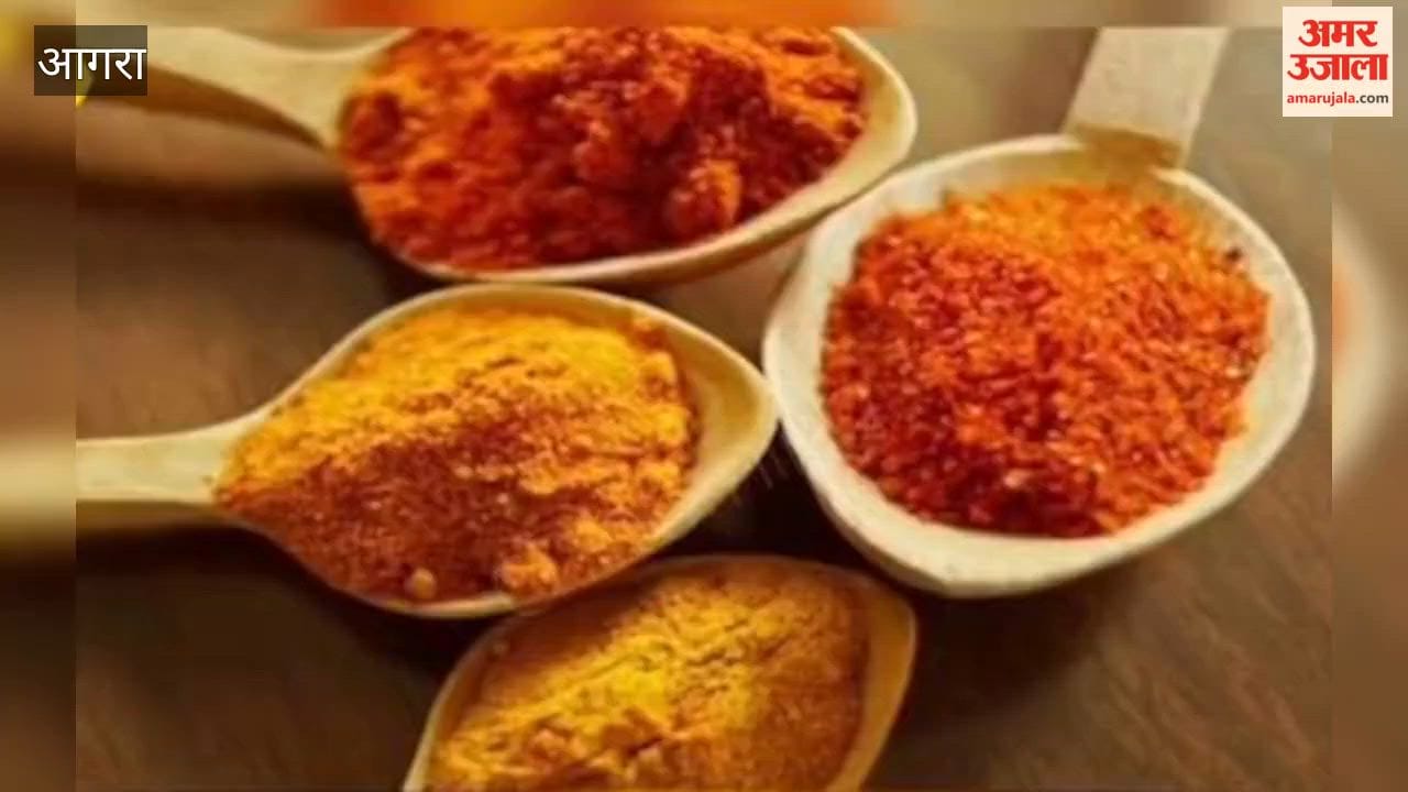 Samples of turmeric, chili, and coriander powder sent for testing