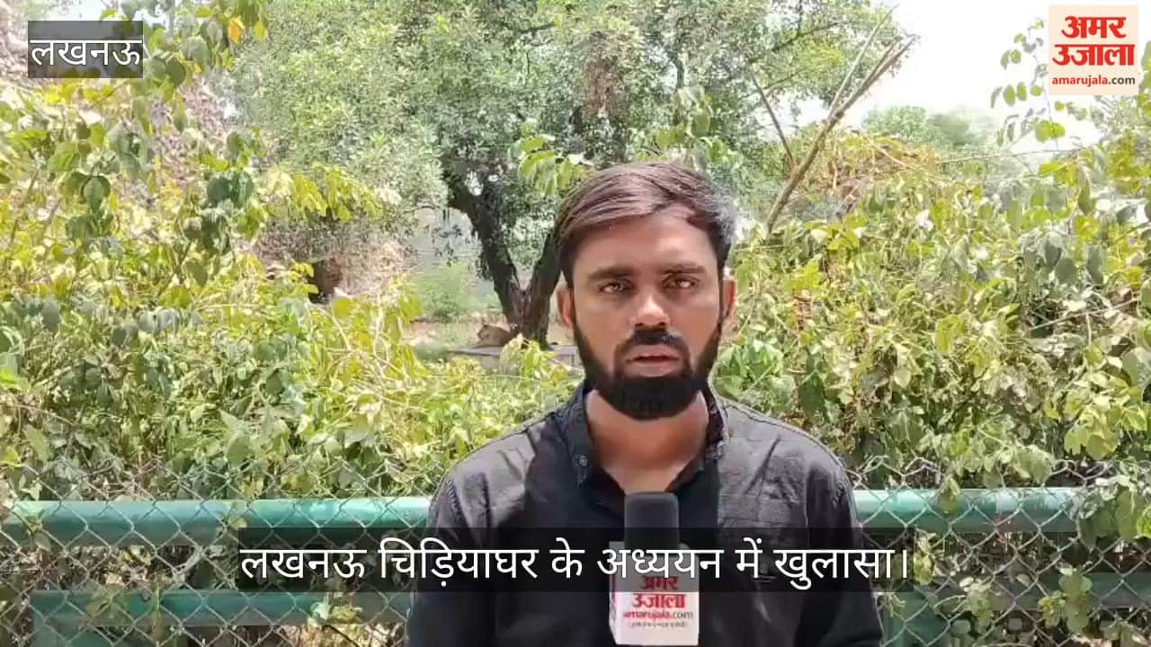 Video: लखनऊ चिड़ियाघर के अध्ययन में खुलासा, बंद पिंजरों में औसत उम्र से अधिक जी रहे वन्यजीव