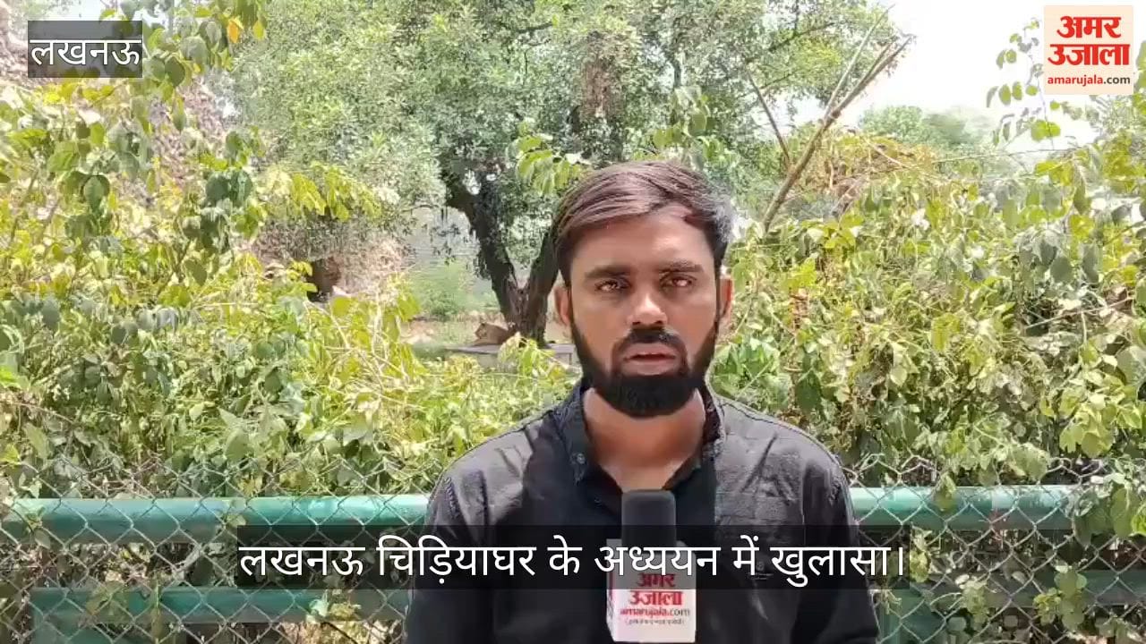 Video: लखनऊ चिड़ियाघर के अध्ययन में खुलासा, बंद पिंजरों में औसत उम्र से अधिक जी रहे वन्यजीव