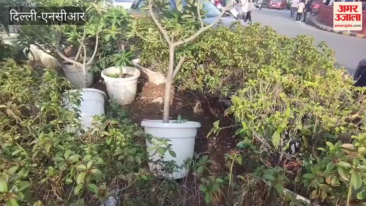 Case of theft of flower pots and plants in Connaught Place