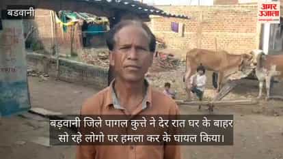 Rabid dog attacks villagers sleeping outside their homes late at night in Salkheda, Barwani; 6 injured.