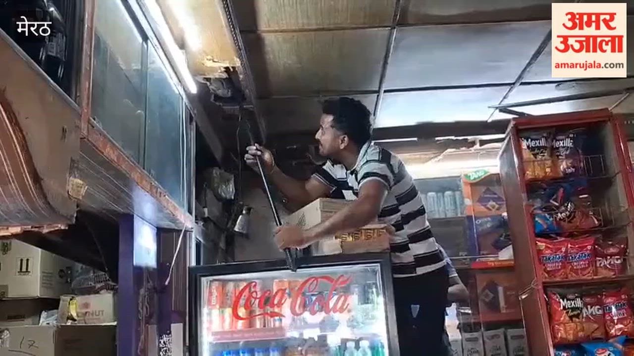 7-foot-long python found in confectionery shop; captured after a tough struggle.