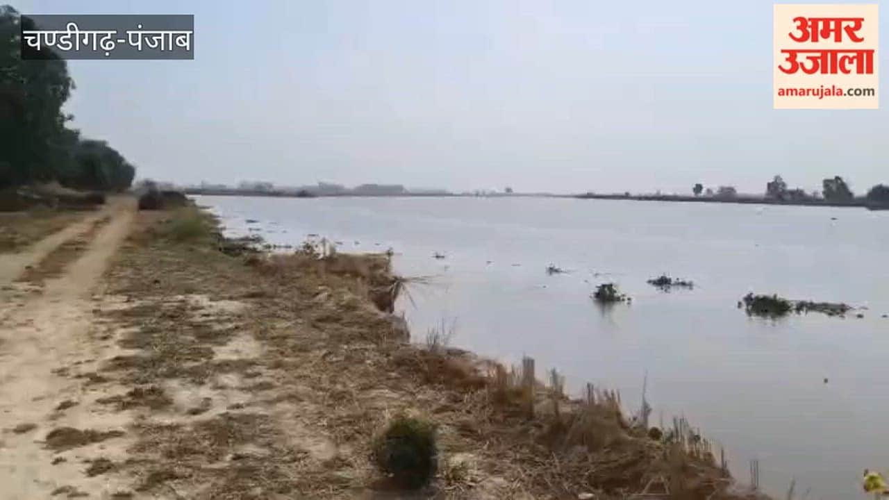 Ferozepur District BJP President visited Tendi Wala village and took stock of the construction of spurs in the river.