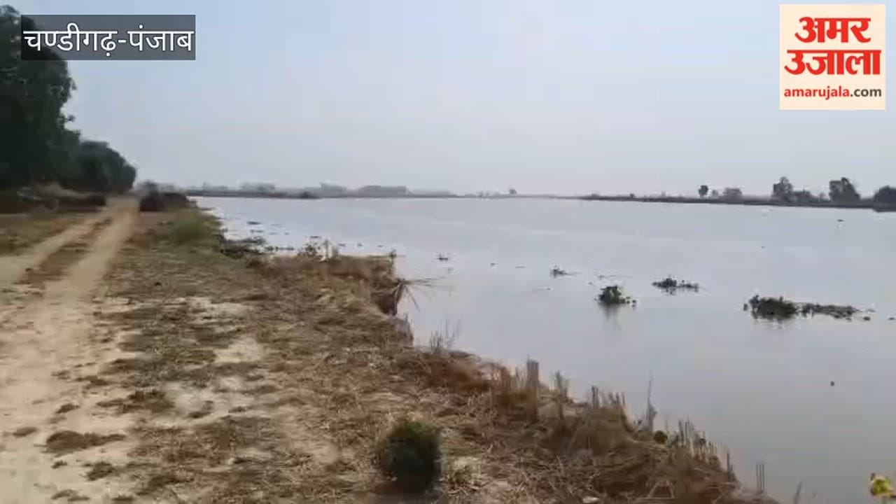 Ferozepur District BJP President visited Tendi Wala village and took stock of the construction of spurs in the river.
